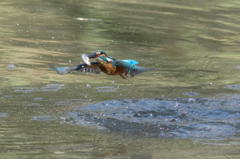 残念な出来事　その１