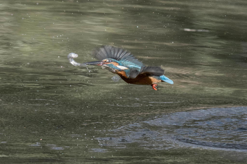 残念な出来事　その２