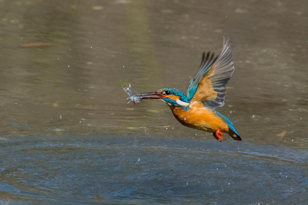 雨降りの日は蔵出しで３