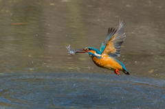 雨降りの日は蔵出しで３