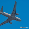 12月16日　蔵出しの自衛隊機　１