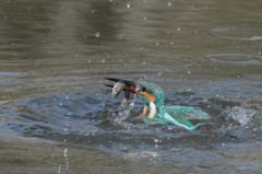 いい湯だな～(^^♪