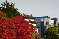 乾通り