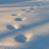 雪