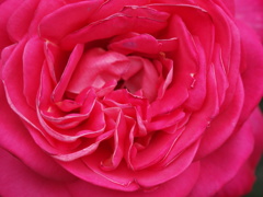 077