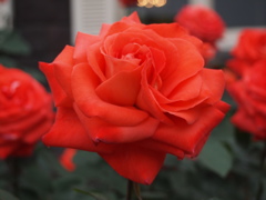 034