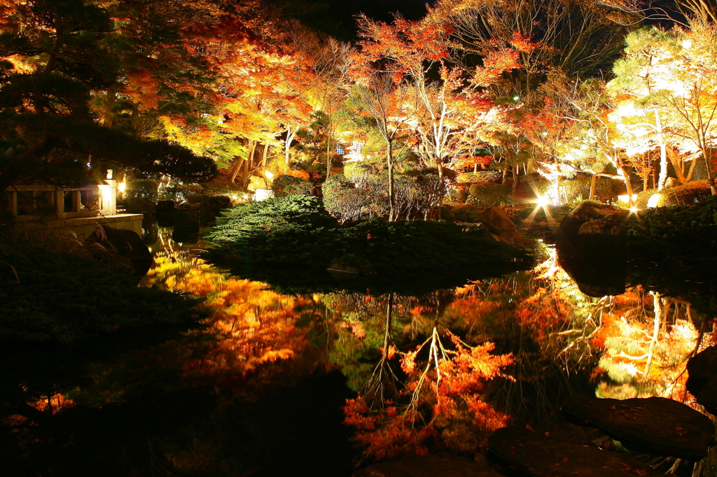 大磯城山公園 紅葉ライトアップ①