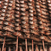 SkeweringFish