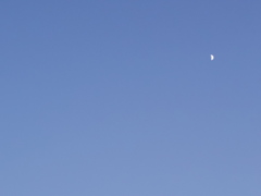 空と月