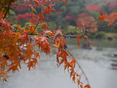 IMGP0103