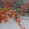 IMGP0103