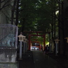 IMGP0153