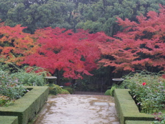 IMGP0033