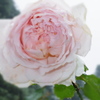 IMGP0062
