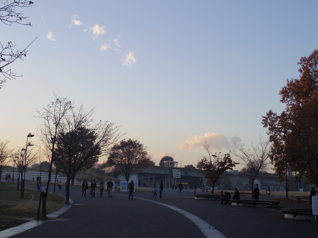夕暮れ