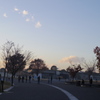 夕暮れ