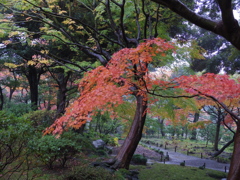 IMGP0073