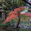 IMGP0073