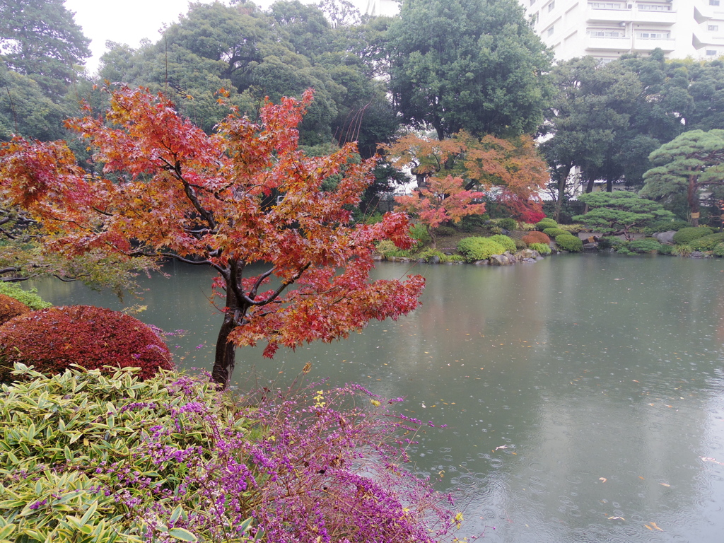 IMGP0082
