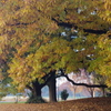 公園