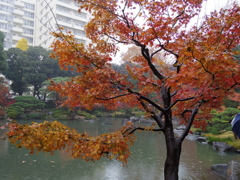 IMGP0080