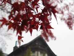IMGP0137