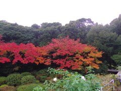 IMGP0046