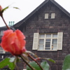 IMGP0054