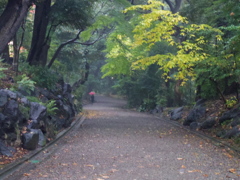 IMGP0145