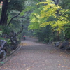 IMGP0145