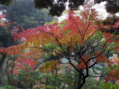 IMGP0076