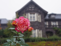 IMGP0038