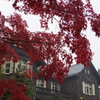 IMGP0136