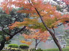 IMGP0078