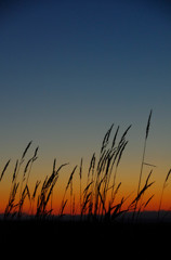 草原の夕景