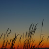 草原の夕景