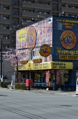 ラッキーピエロも桜咲く