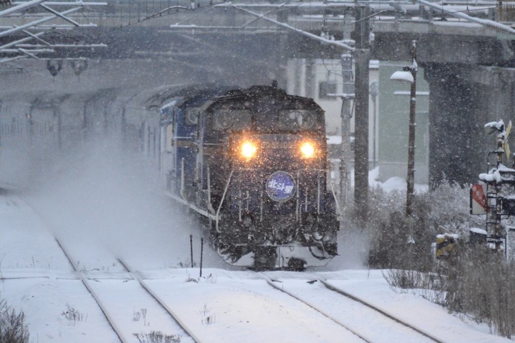 2015/01/29　北斗星　ディーゼル車牽引　4