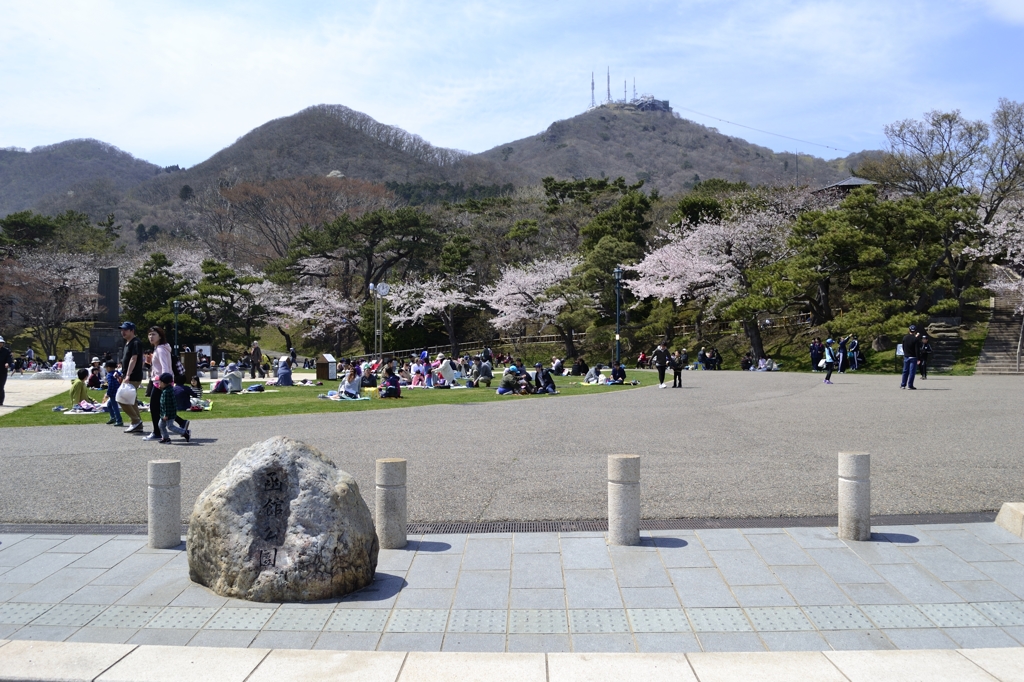 函館公園　2015/04/26