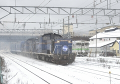 2015/03/11 北斗星