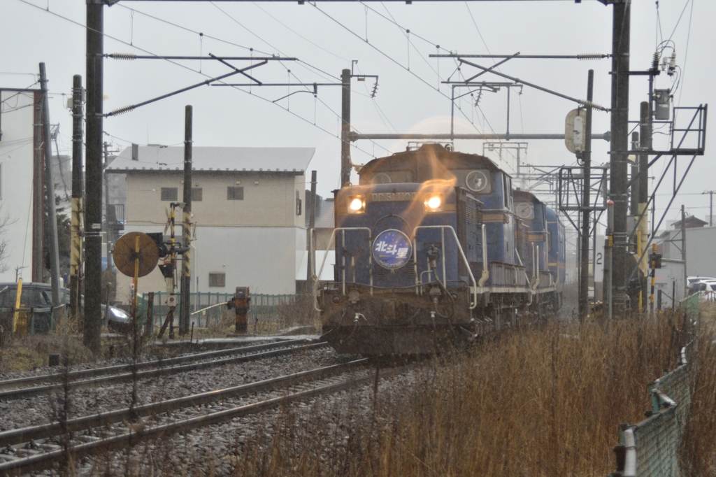 2015/03/10　雨の中の北斗星　8