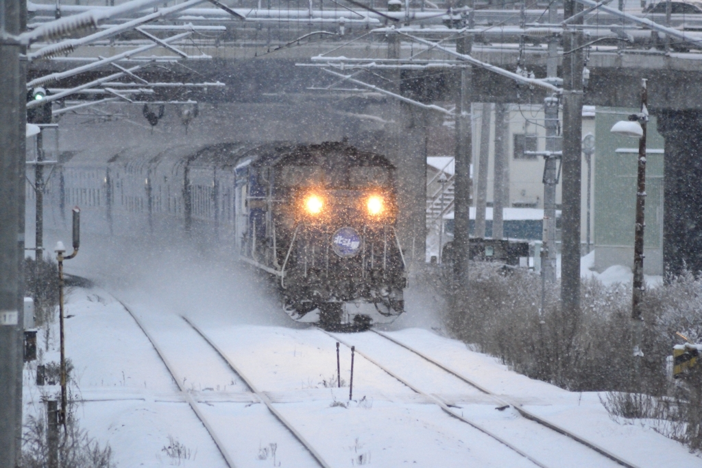 2015/01/29　北斗星　ディーゼル車牽引　2