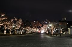 _DSC5420