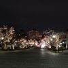 _DSC5420