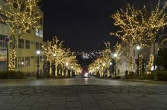 函館イルミネーション　八幡坂