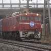 2015/03/10　雨の中の北斗星　4