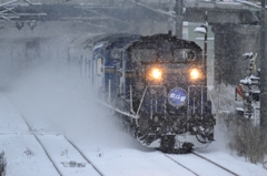 2015/01/29　北斗星　ディーゼル車牽引　5