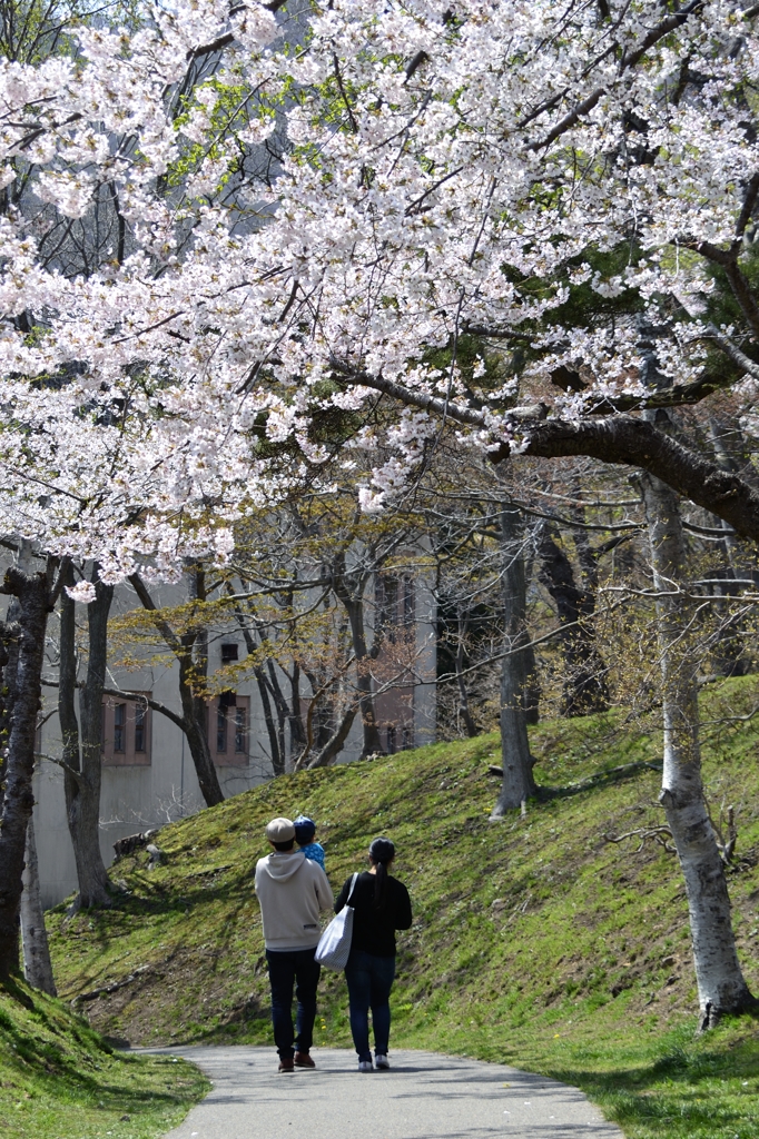 家族の花道