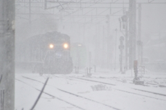 大撃沈　2015/03/13