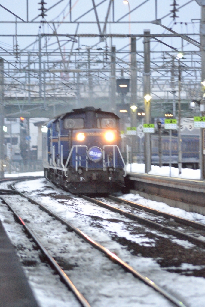 今日は遠くの写真